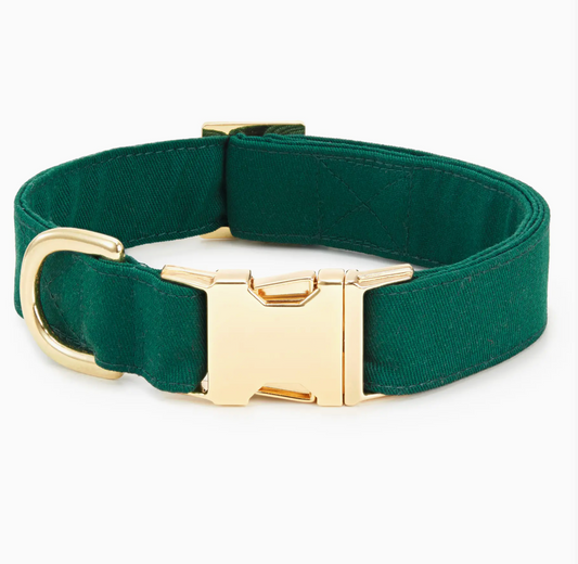 Collar Liso Para Perros