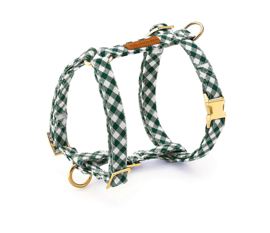 Arnés Estampado