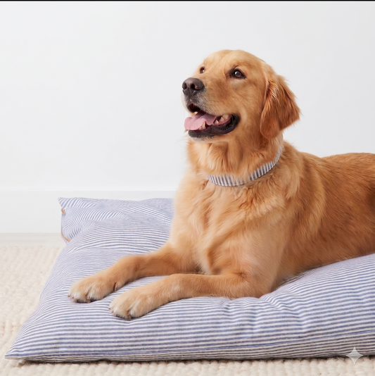 Cama Estampada para Perros
